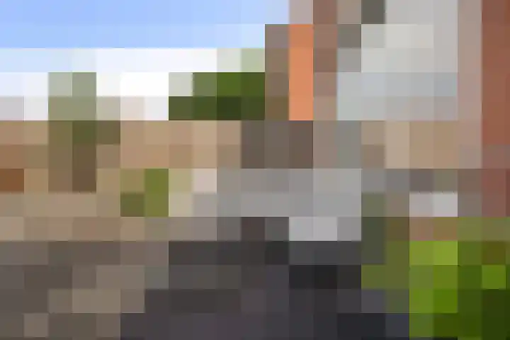Camminghastrjitte 52 Ferwert thumbnail 29