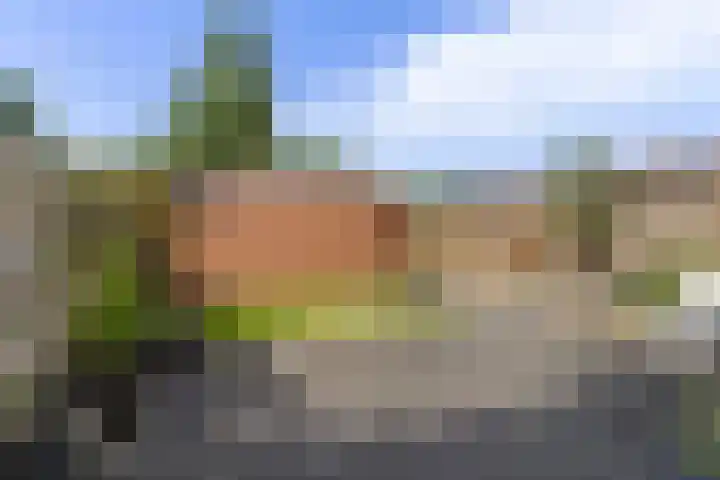 Camminghastrjitte 52 Ferwert thumbnail 30