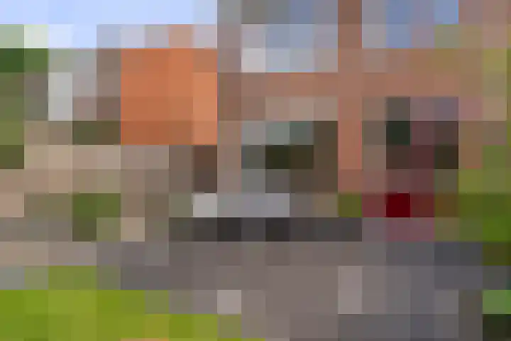 Camminghastrjitte 52 Ferwert thumbnail 31