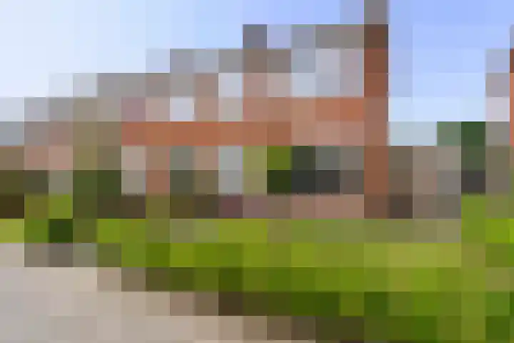 Camminghastrjitte 52 Ferwert thumbnail 33