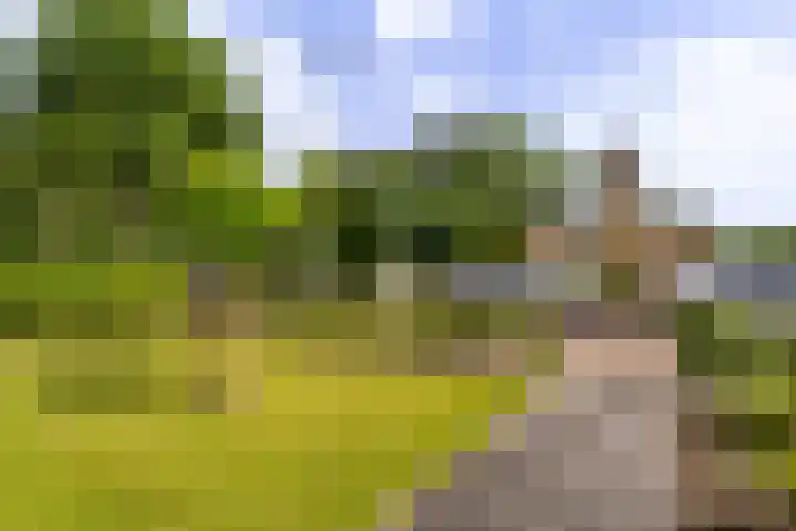 Camminghastrjitte 52 Ferwert thumbnail 35