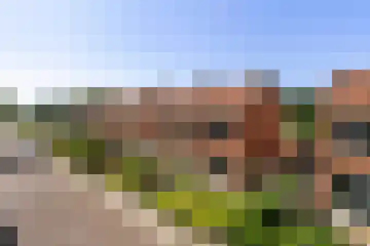 Camminghastrjitte 52 Ferwert thumbnail 36