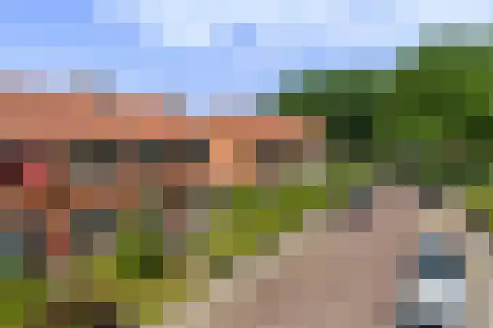 Camminghastrjitte 52 Ferwert thumbnail 37