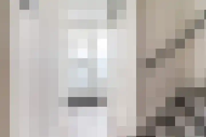 Camminghastrjitte 52 Ferwert thumbnail 5