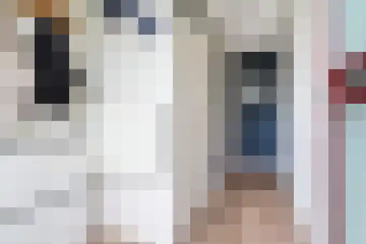 Camminghastrjitte 52 Ferwert thumbnail 6