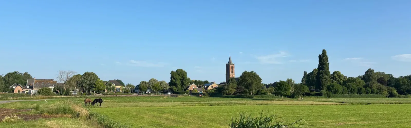 Team photo of Campagne Makelaardij