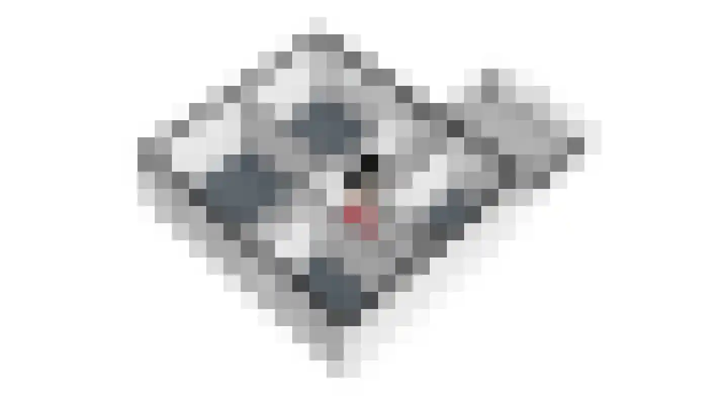 Campagnestraat 6 Castenray thumbnail 40