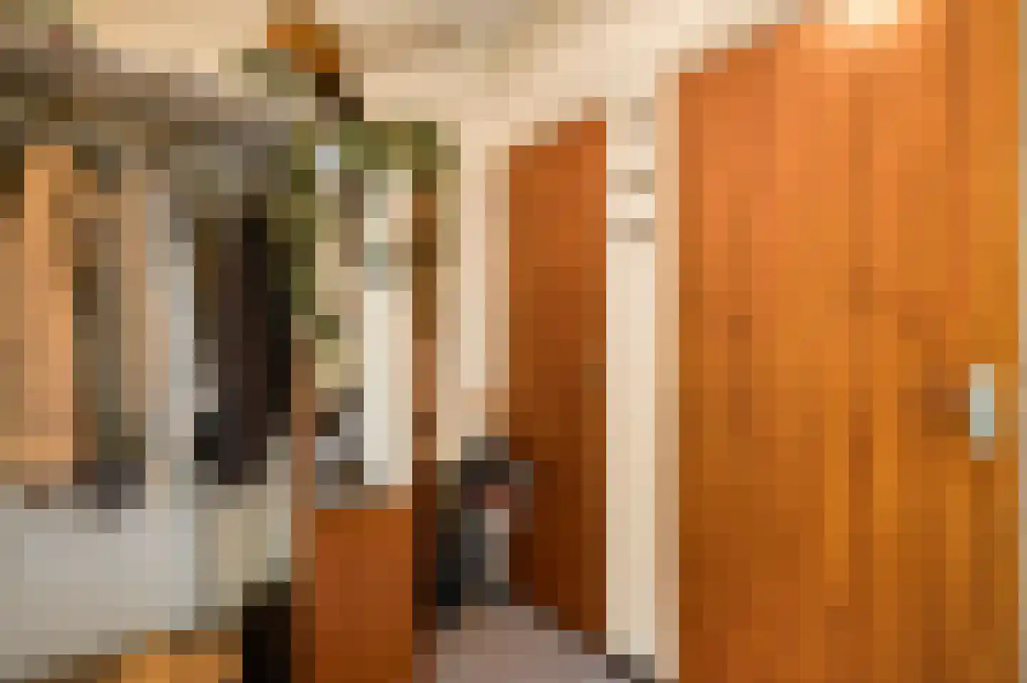 Campagnestraat 6 Castenray thumbnail 5