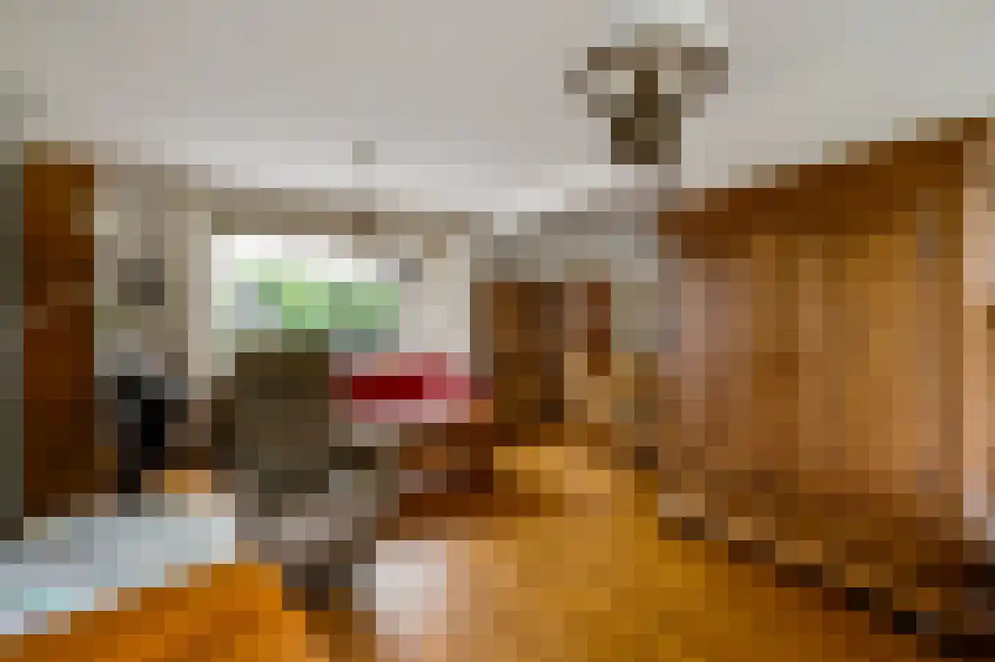 Campagnestraat 6 Castenray thumbnail 9