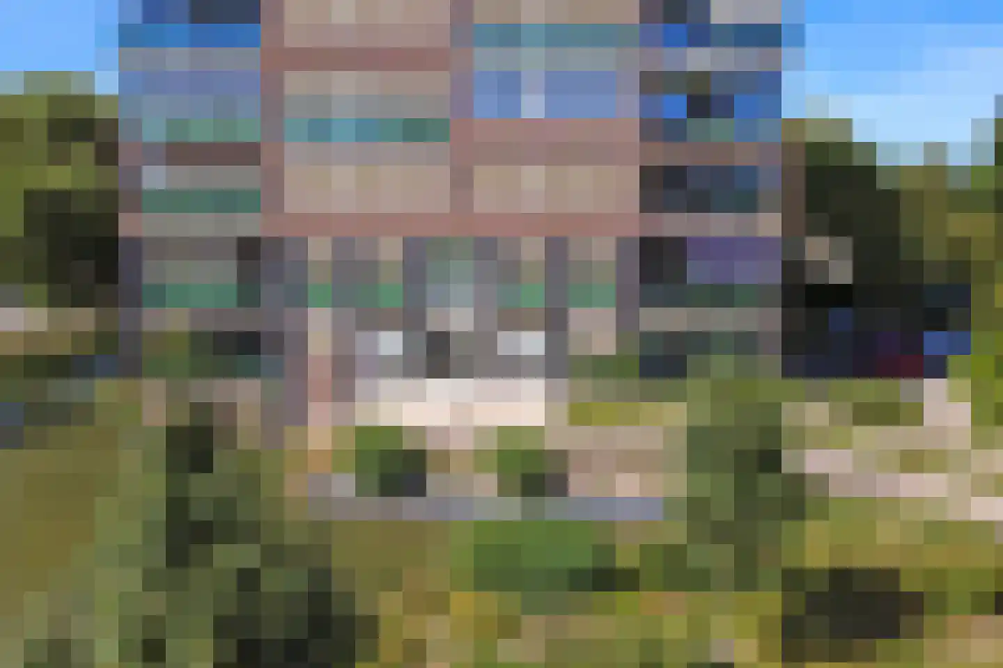 Campanula 3 17 Dordrecht thumbnail 66