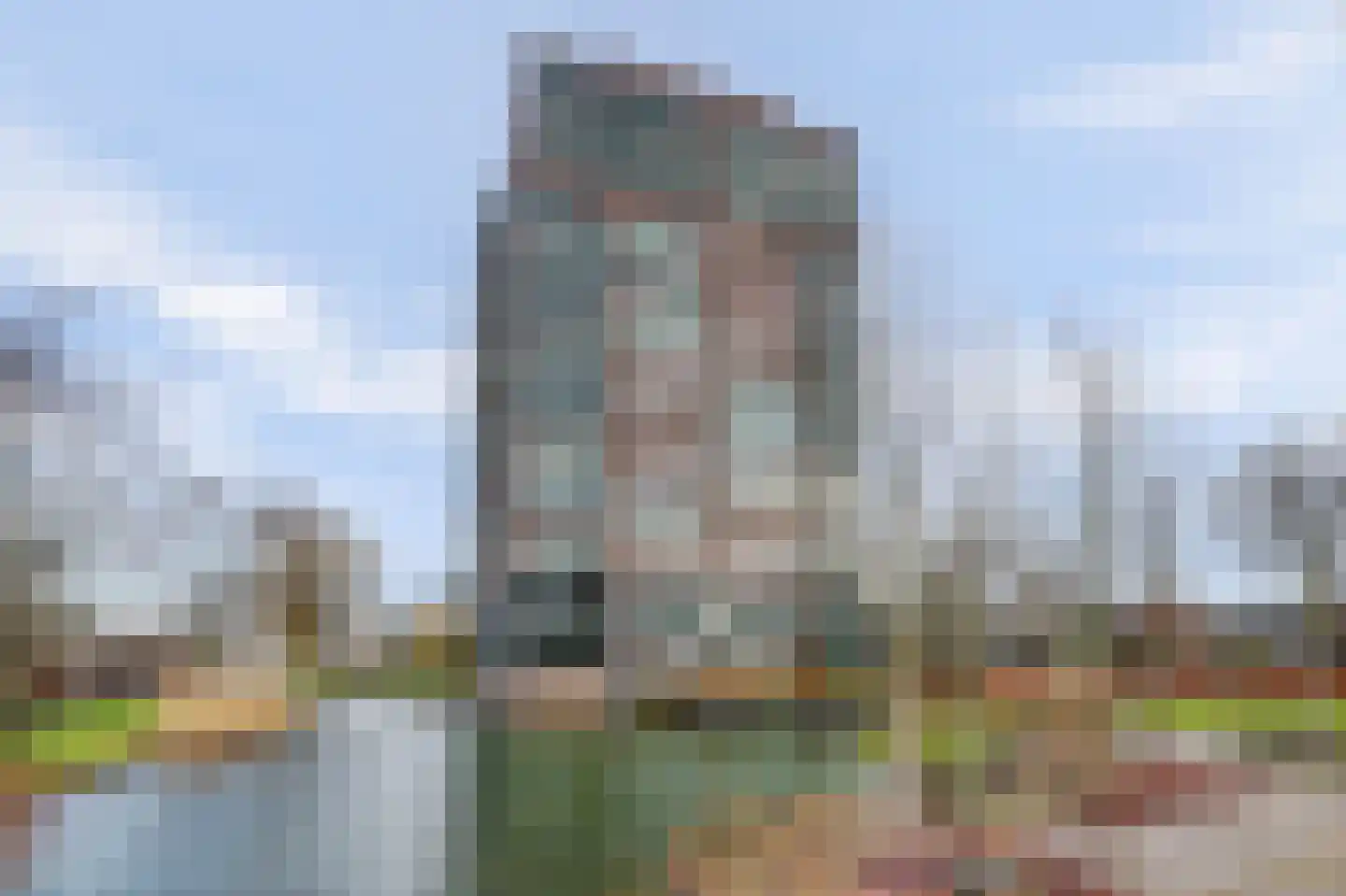 Campanula 3 38 Dordrecht thumbnail 60