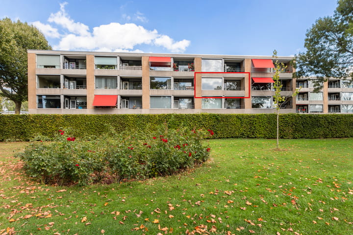 Campanula 82 in Dordrecht Foto