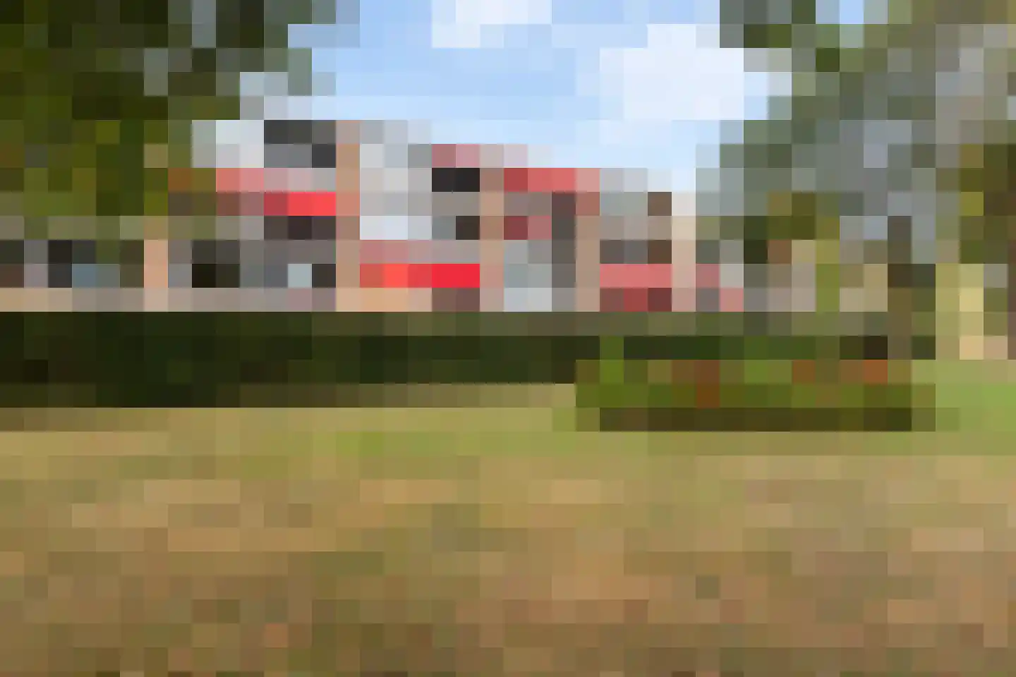 Campanula 84 Dordrecht thumbnail 21