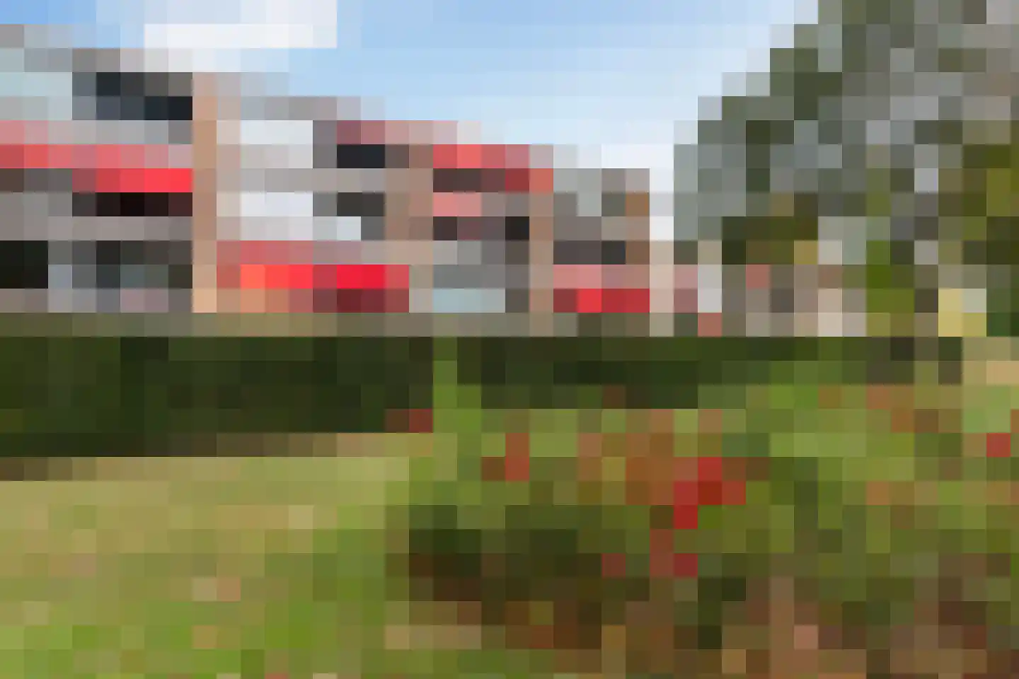 Campanula 84 Dordrecht thumbnail 22