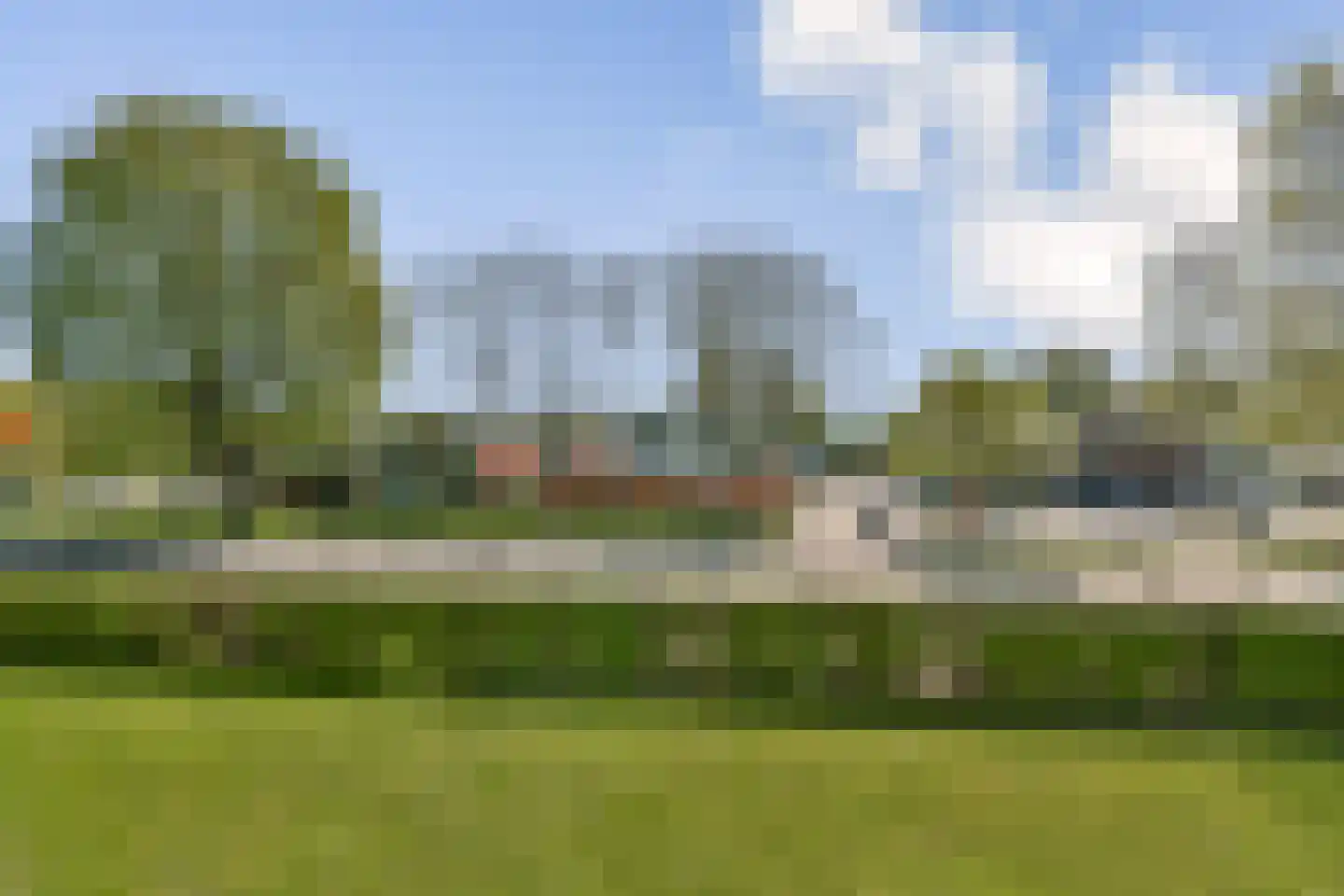 Campanula 90 Dordrecht thumbnail 27