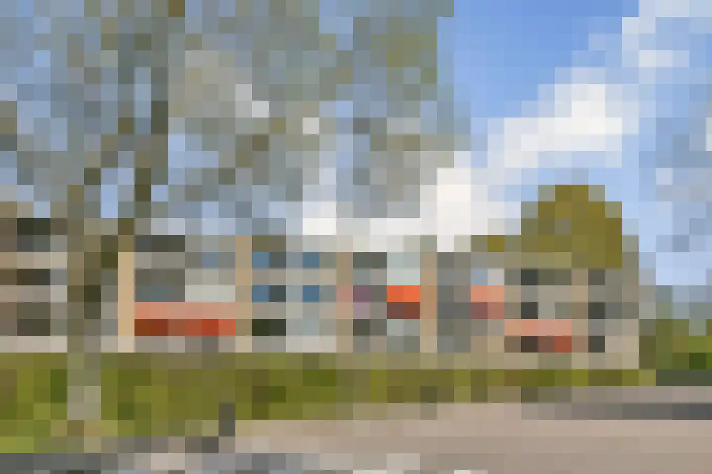 Campanula 90 Dordrecht thumbnail 7