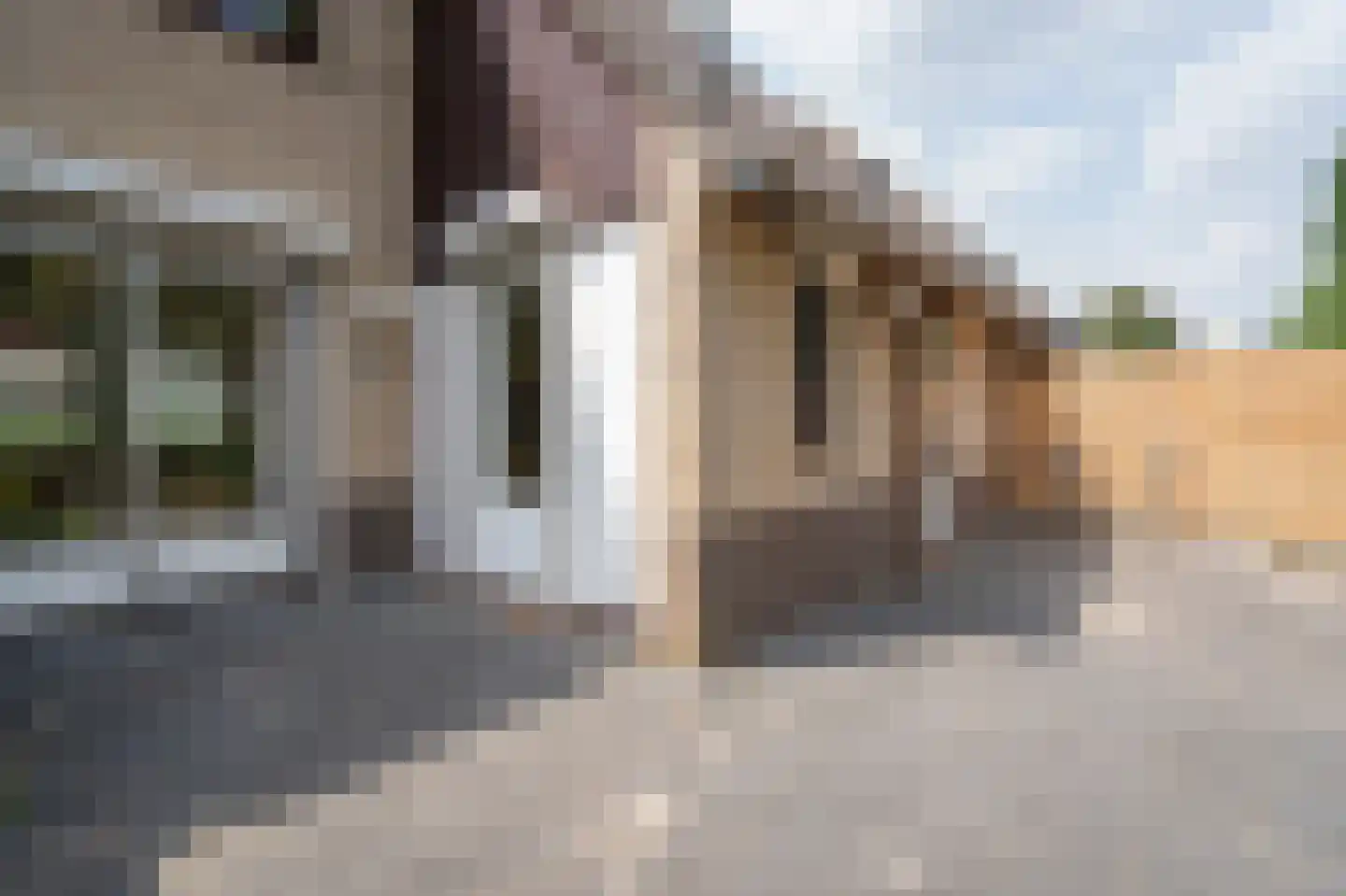 Campanulahof 13 Papendrecht thumbnail 33