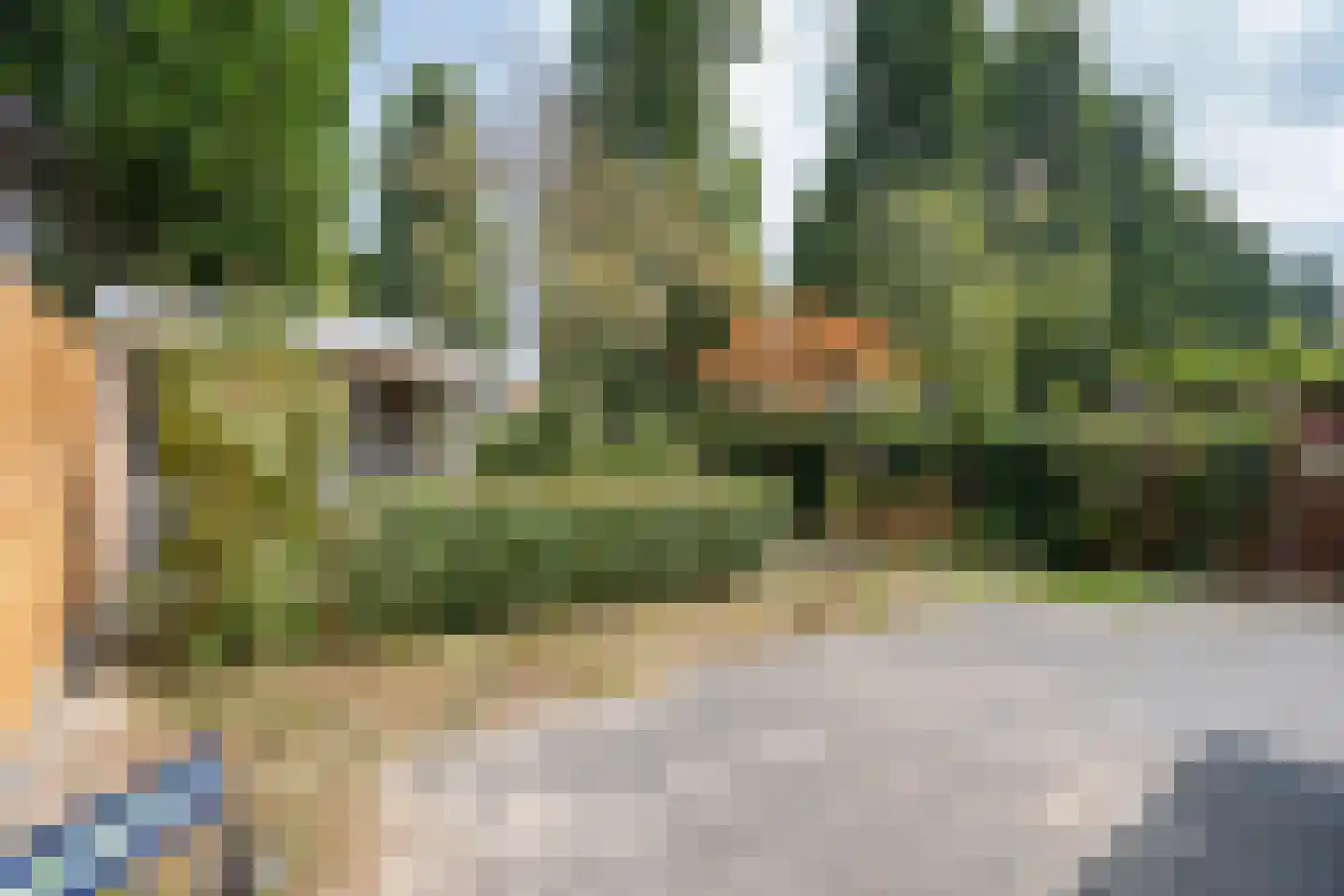 Campanulahof 13 Papendrecht thumbnail 34