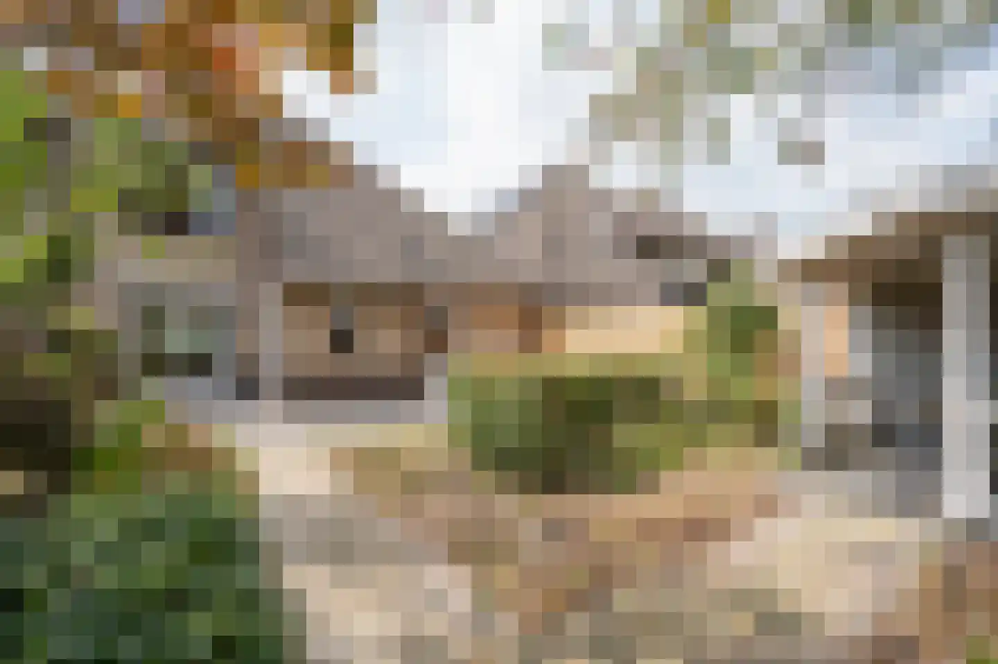 Campanulahof 13 Papendrecht thumbnail 35
