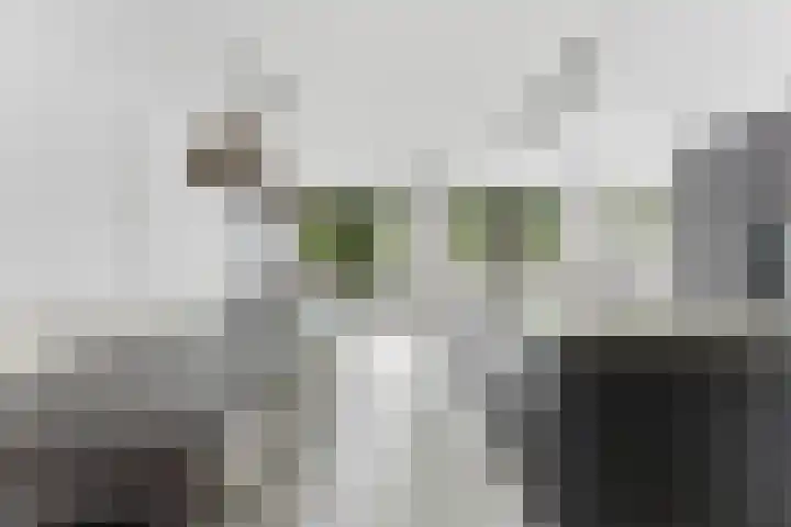 Campanulahof 27 Papendrecht thumbnail 10