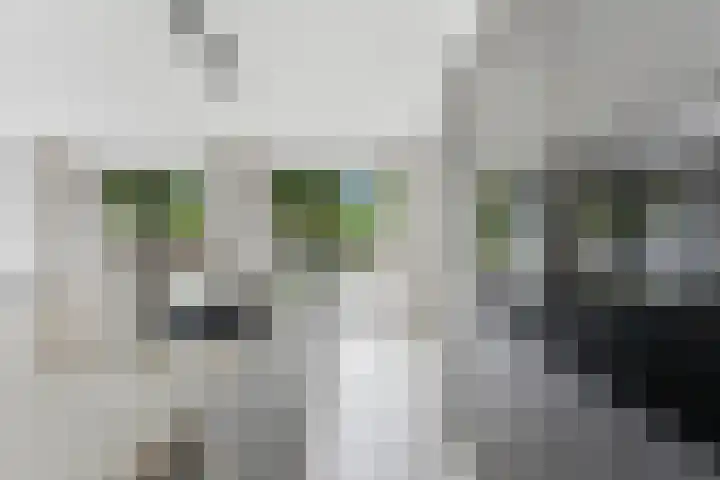 Campanulahof 27 Papendrecht thumbnail 12