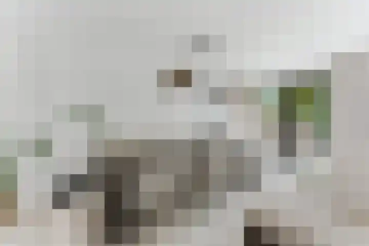 Campanulahof 27 Papendrecht thumbnail 13