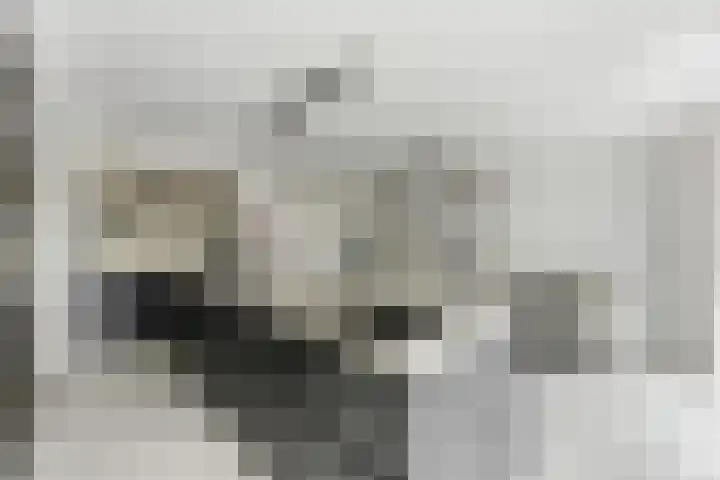 Campanulahof 27 Papendrecht thumbnail 15