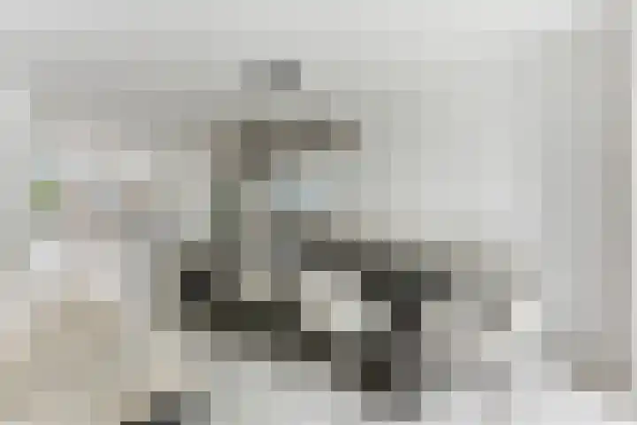 Campanulahof 27 Papendrecht thumbnail 18