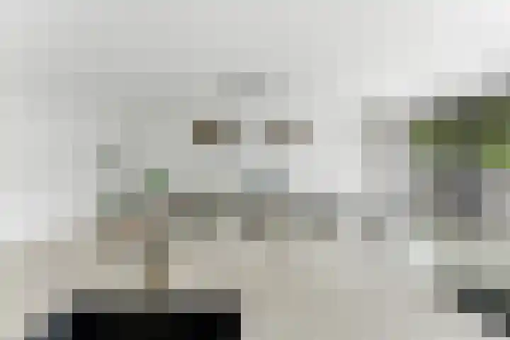 Campanulahof 27 Papendrecht thumbnail 19