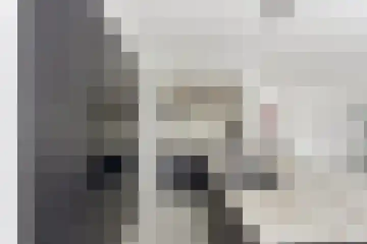 Campanulahof 27 Papendrecht thumbnail 20