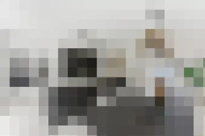 Campanulahof 27 Papendrecht thumbnail 21