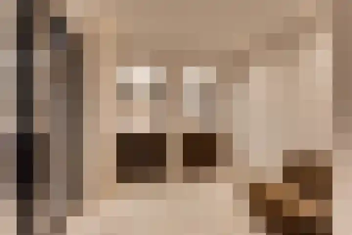 Campanulahof 27 Papendrecht thumbnail 25