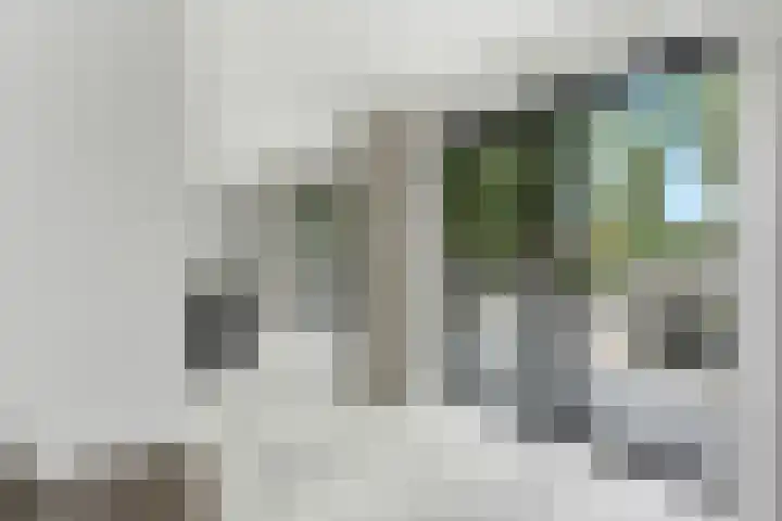 Campanulahof 27 Papendrecht thumbnail 27