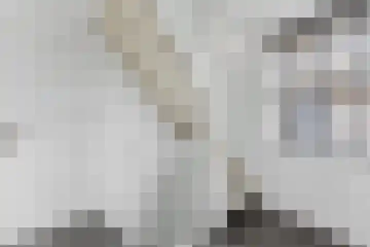 Campanulahof 27 Papendrecht thumbnail 35