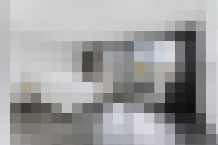 Campanulahof 27 Papendrecht thumbnail 41