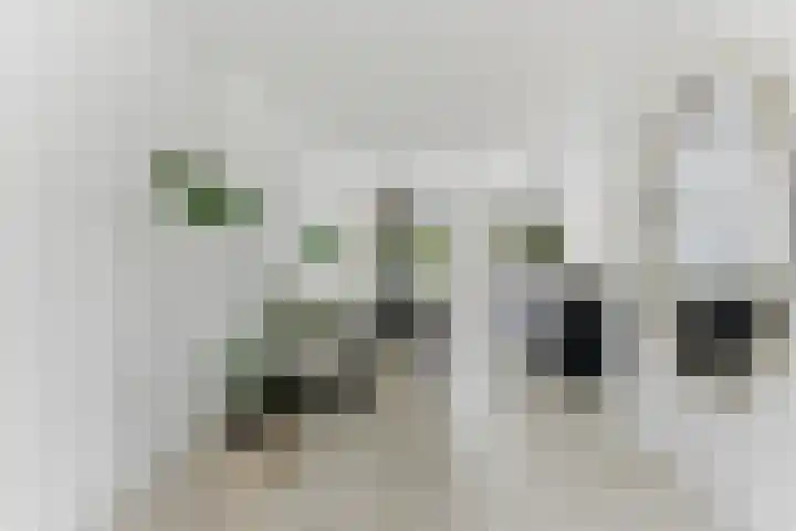 Campanulahof 27 Papendrecht thumbnail 5