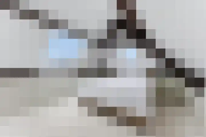 Campanulahof 27 Papendrecht thumbnail 50
