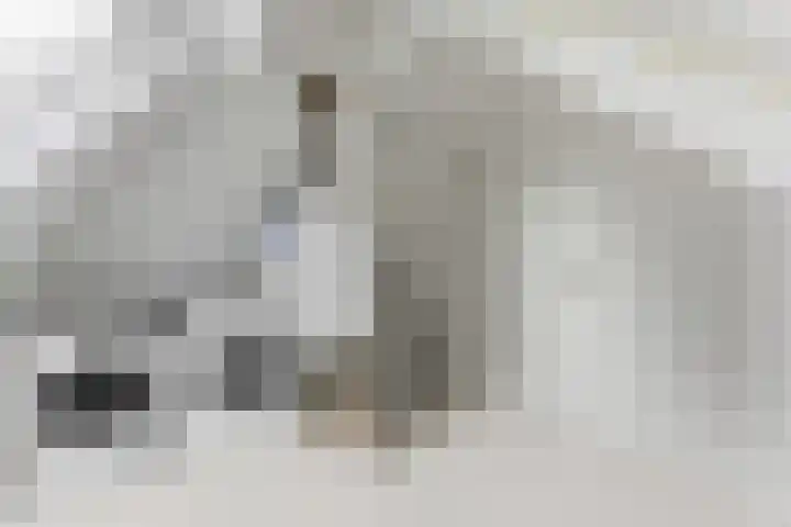 Campanulahof 27 Papendrecht thumbnail 52
