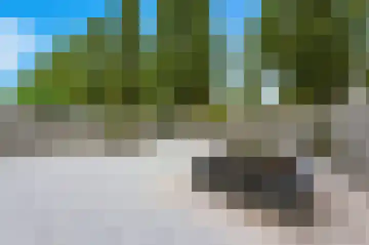 Campanulahof 27 Papendrecht thumbnail 57