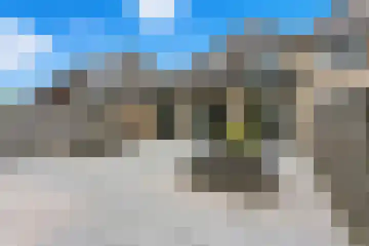 Campanulahof 27 Papendrecht thumbnail 58