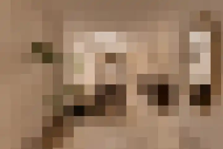 Campanulahof 27 Papendrecht thumbnail 6