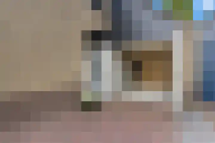 Campanulahof 27 Papendrecht thumbnail 61
