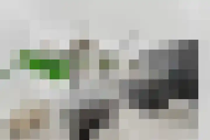 Campanulahof 27 Papendrecht thumbnail 8