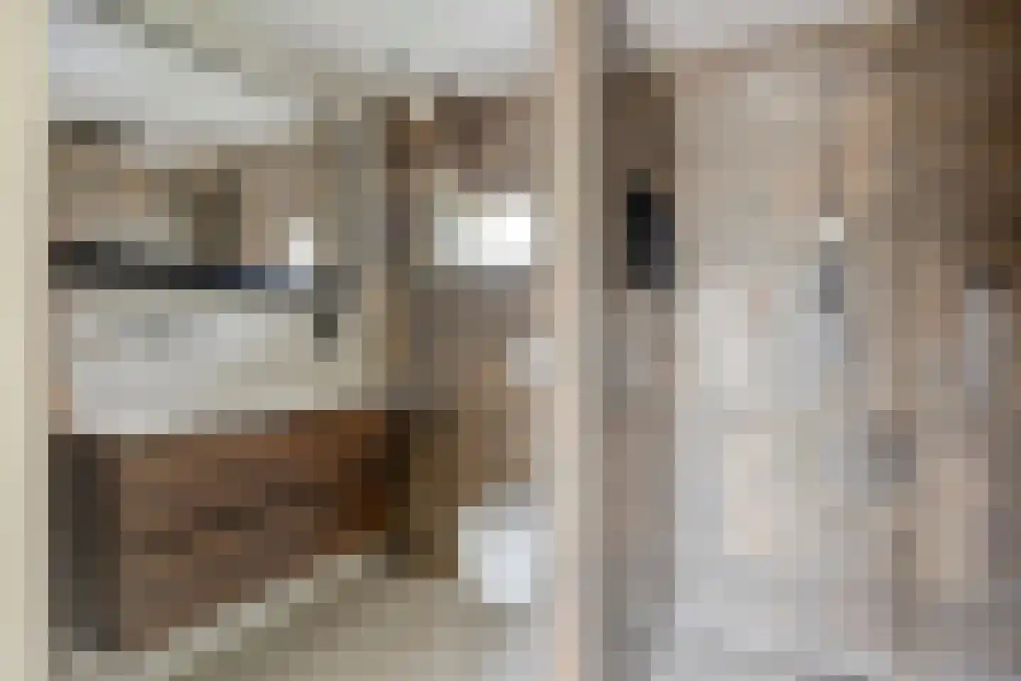 Campanulahof 4 Papendrecht thumbnail 12