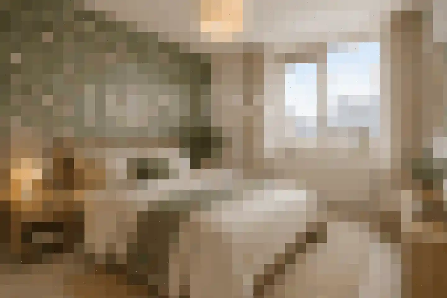 Campanulahof 4 Papendrecht thumbnail 14