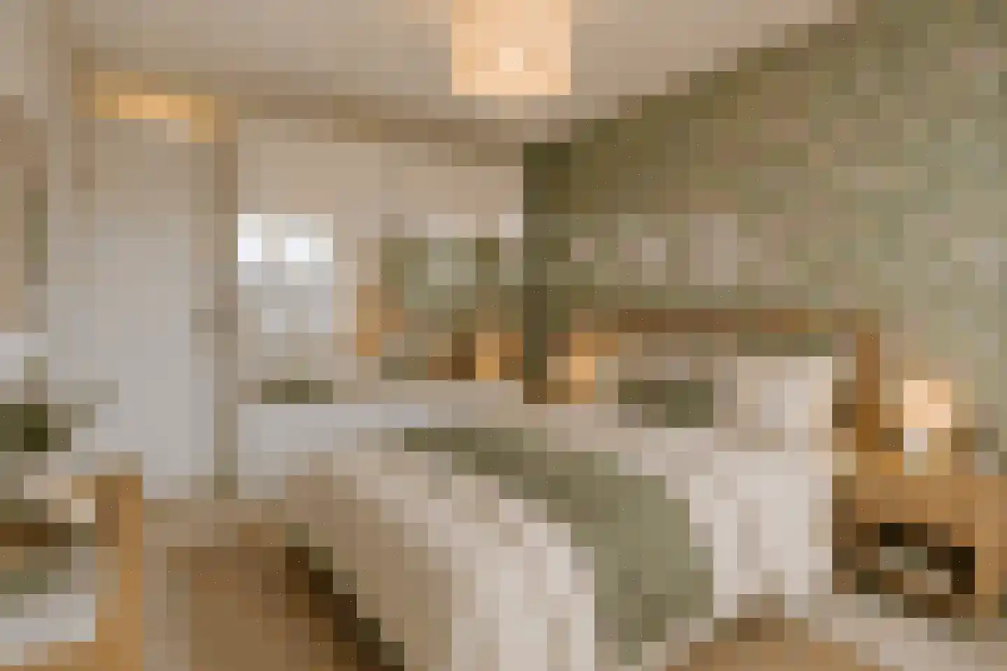 Campanulahof 4 Papendrecht thumbnail 15
