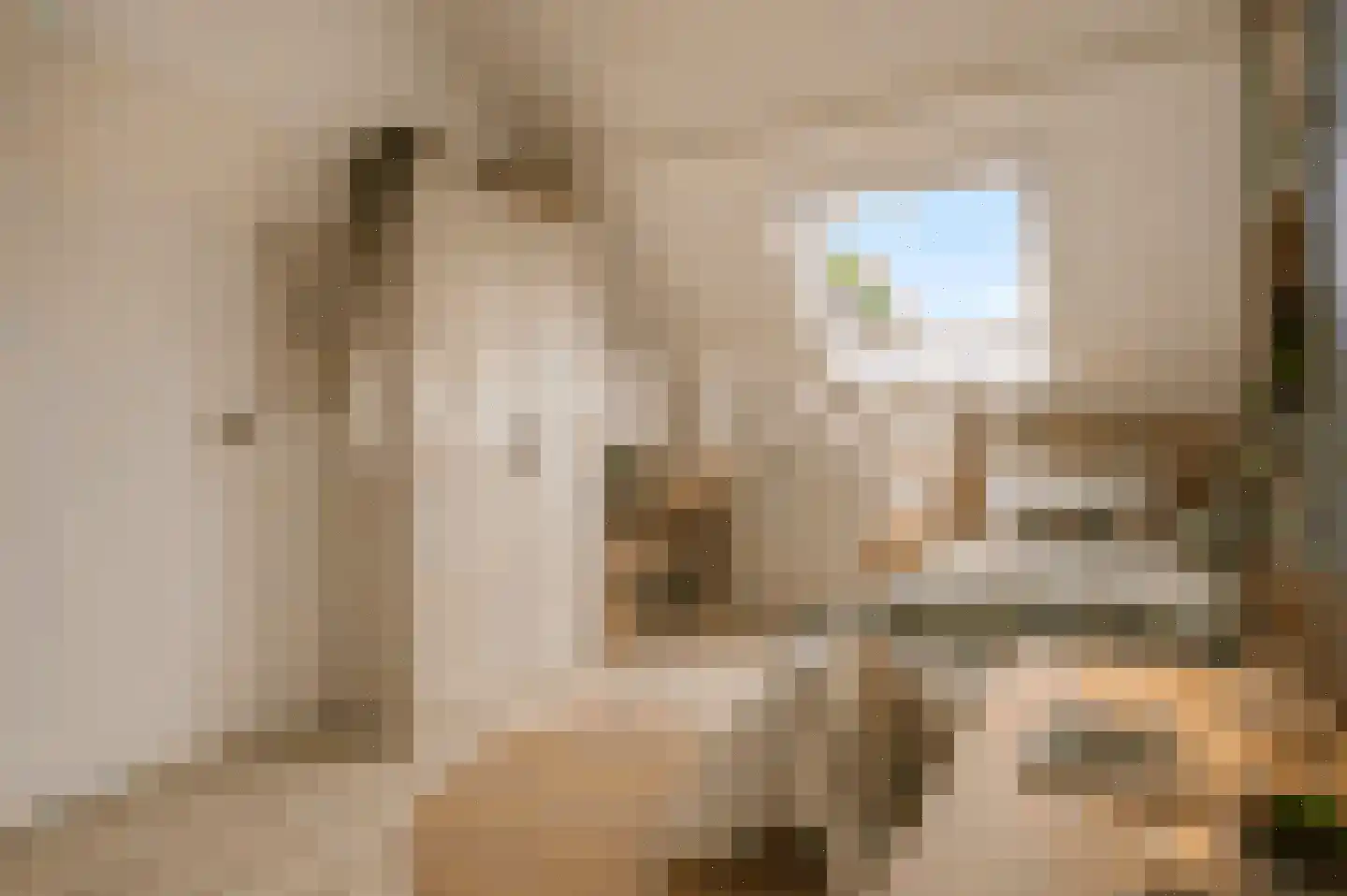 Campanulahof 4 Papendrecht thumbnail 24
