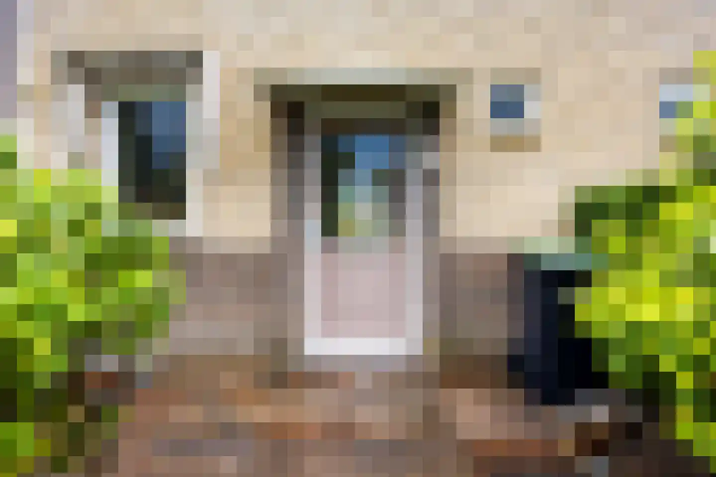 Campanulahof 4 Papendrecht thumbnail 29