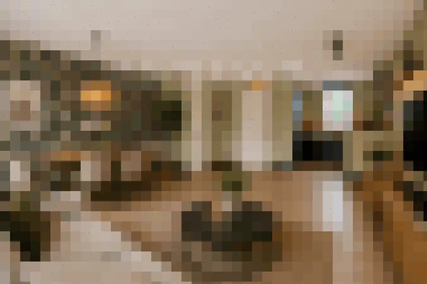 Campanulahof 4 Papendrecht thumbnail 5