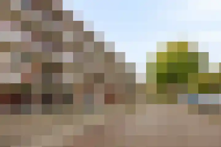 Campanulastraat 46 Zwijndrecht thumbnail 5